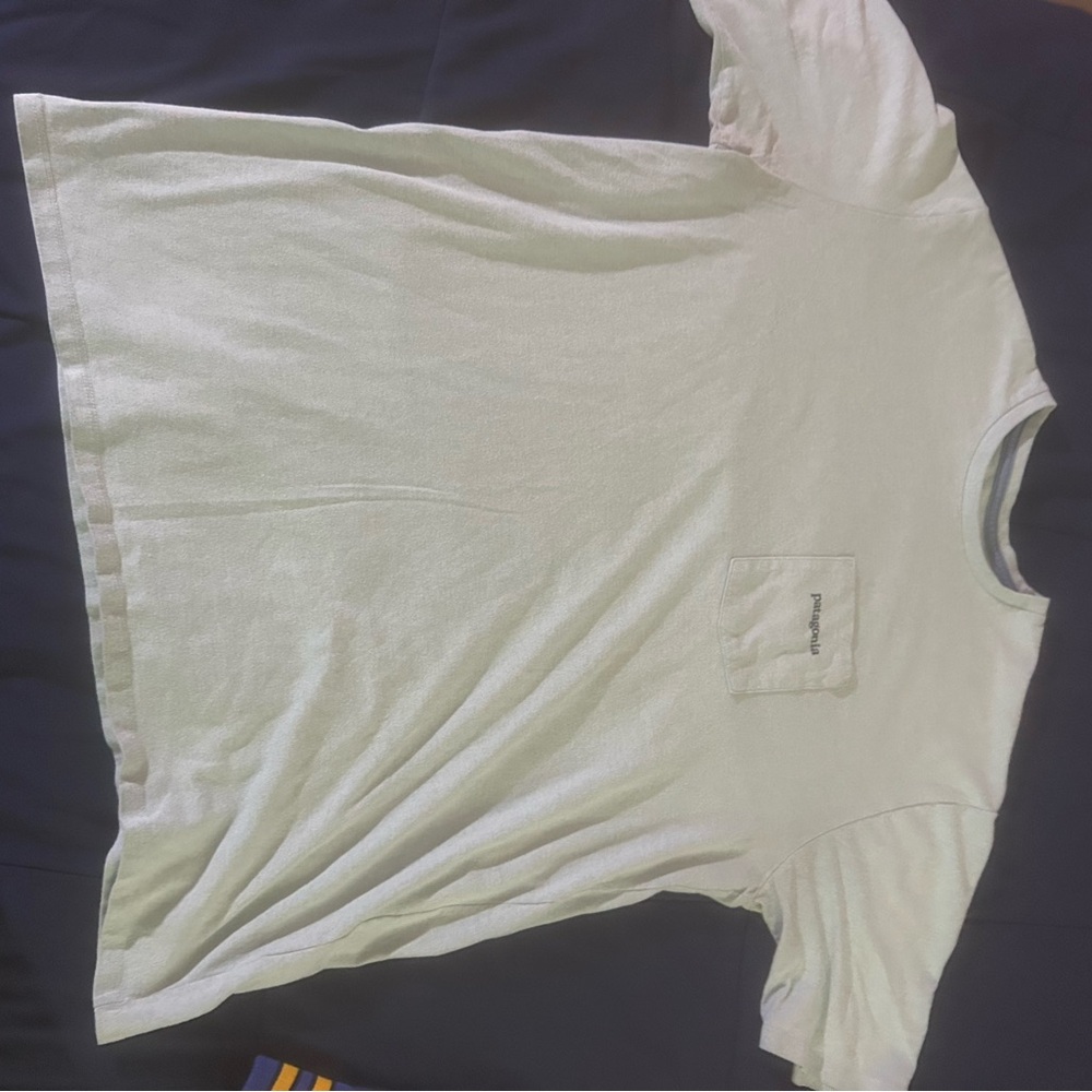 Patagonia blue/mint t-shirt